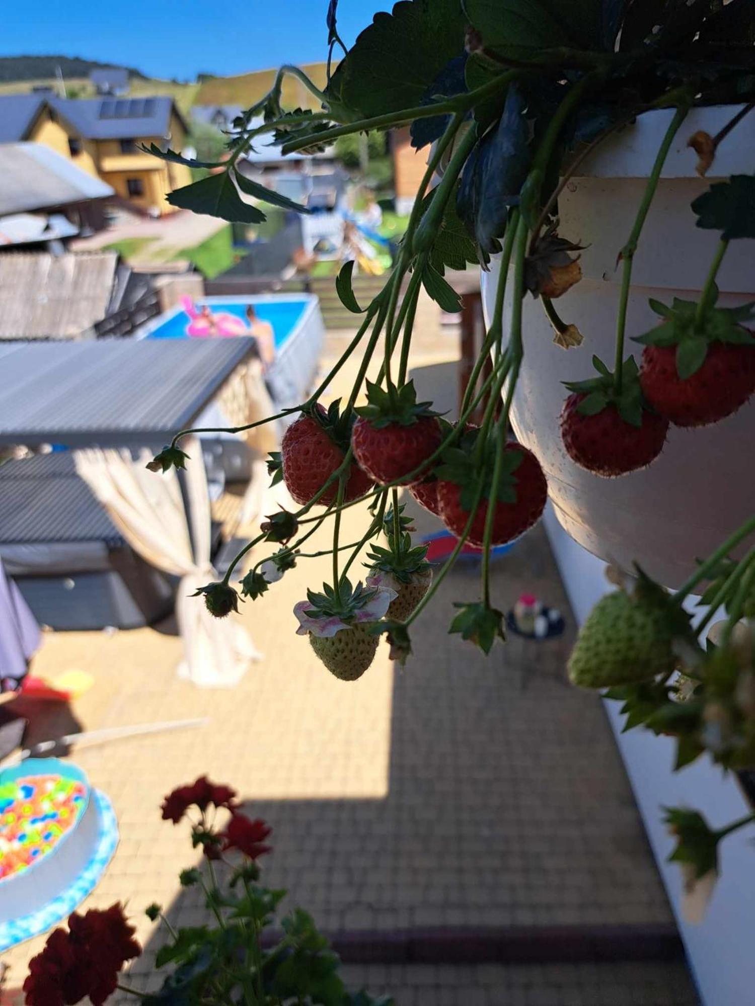 Apartamenty Maja Tylicz Bagian luar foto