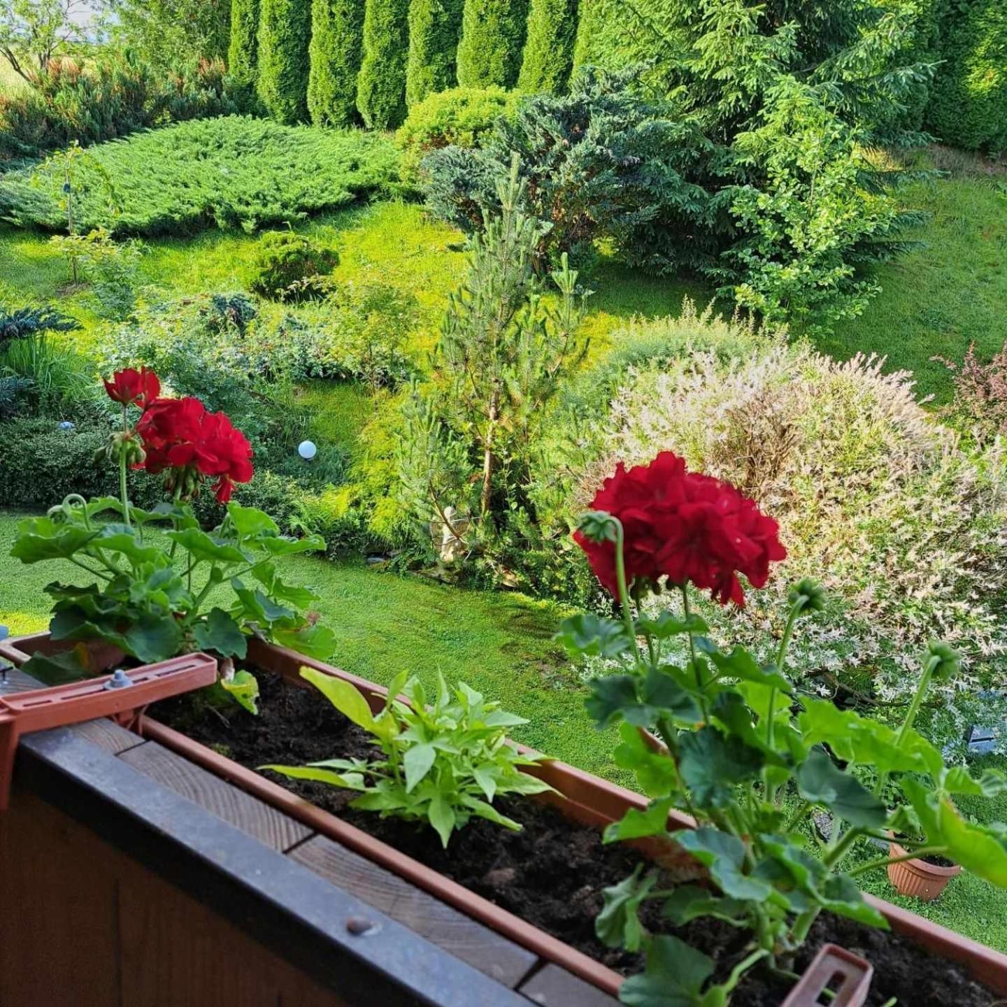 Apartamenty Maja Tylicz Bagian luar foto