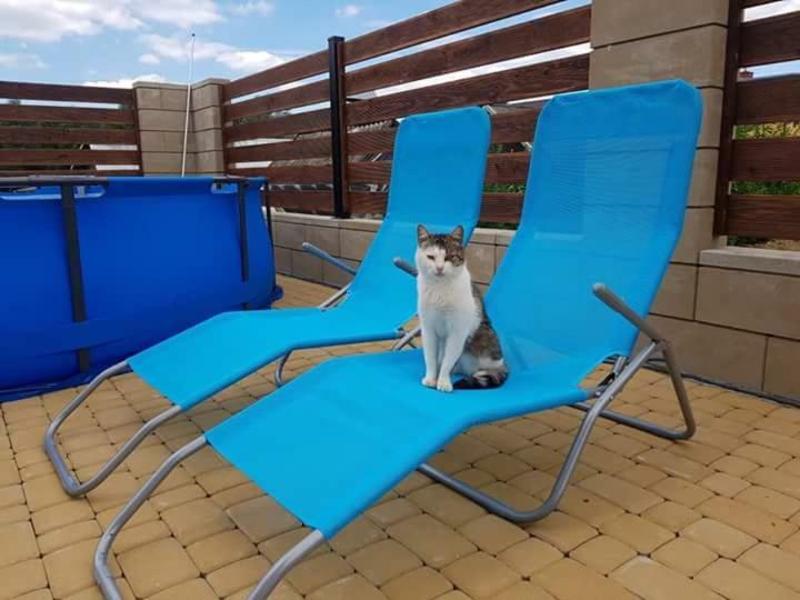 Apartamenty Maja Tylicz Bagian luar foto